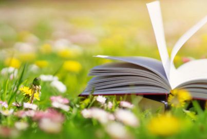  Summer reading