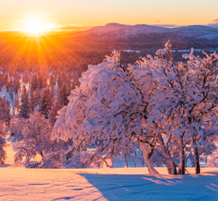 New acquisitions of books