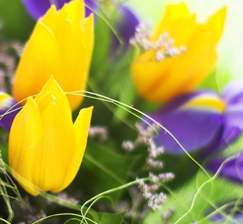 New acquisitions of books