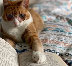 Поздравляем с Общероссийским днем библиотек!