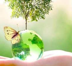 We invite you to the book exhibition-viewing