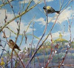 Новые поступления книг