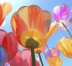 Расписание работы  научной библиотеки НГУ  с  27 апреля по 10 мая 2024 г.