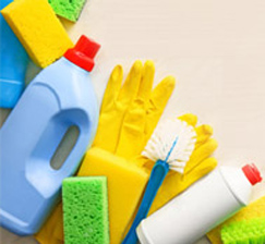 Sanitary day