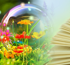 Library opening hours from July 4 to August 31