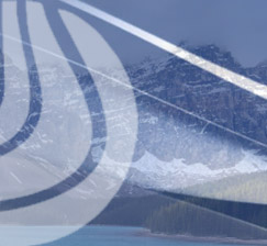 Журналы GeoScienceWorld и China Academic Journals