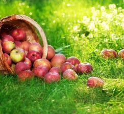 Exhibitions of new acquisitions of literature in the service department