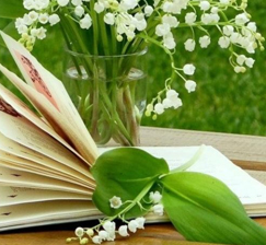 New acquisitions to the lending library for course books and scientific literature