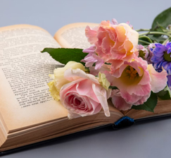 New acquisitions of books