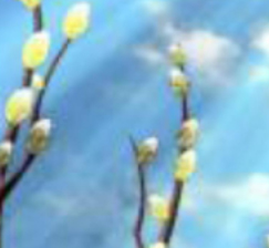  New acquisitions in the department of Fiction Lending Library