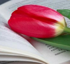  New acquisitions in the department of Fiction Lending Library