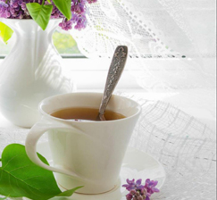 New acquisitions to the lending library for course books and scientific literature