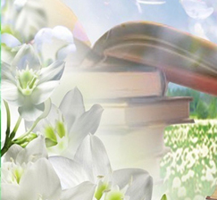  To the All-Russian Day of Libraries