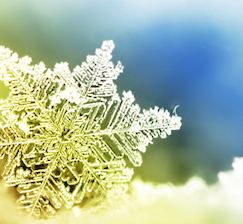 New acquisitions to the lending library for course books and scientific literature