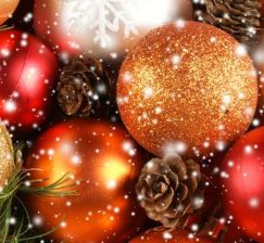 New arrivals in the NSU Scientific Library