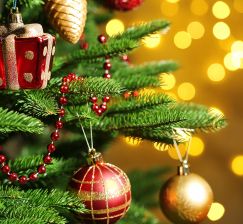  New virtual exhibitions