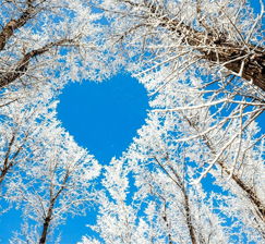 New acquisitions of books