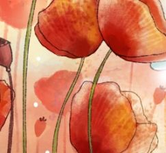 «In that amazing Country where I saw the light...»