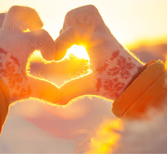 Schedule of the NSU Scientific Library from January 30 to February 4, 2023