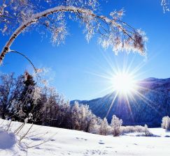 New acquisitions of books