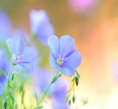 New acquisitions in the department of Fiction Lending Library